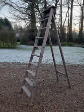 Rare vintage King George crown wooden step ladder 9 treads