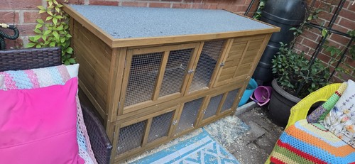 Pets home large 5ft 2 - /,