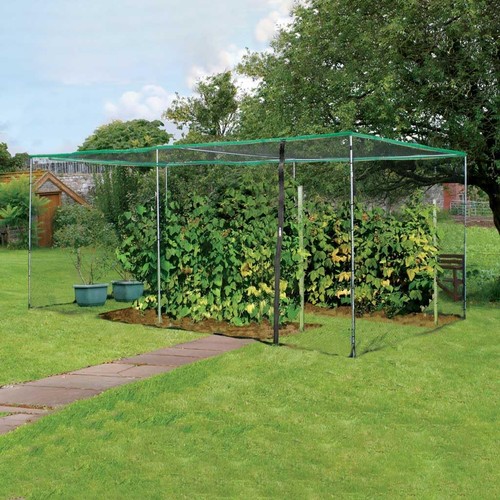 Walk fruit cage 5x5m - cage, 2.5x5m