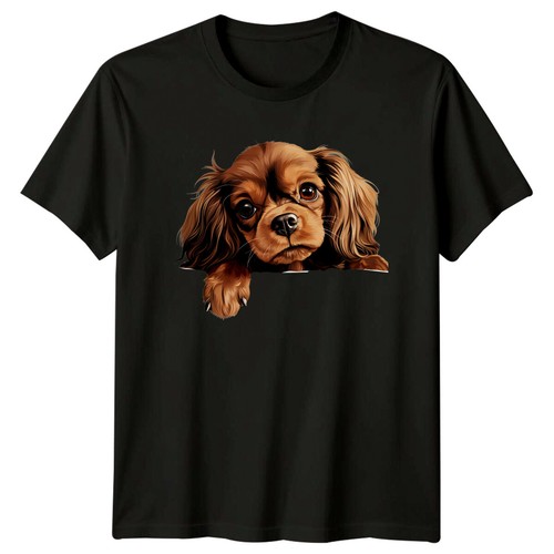 Cavalier king charles spaniel - cavalier,