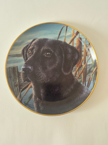 Man best friend - a, black