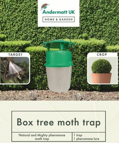 Box moth trap and - and, refill