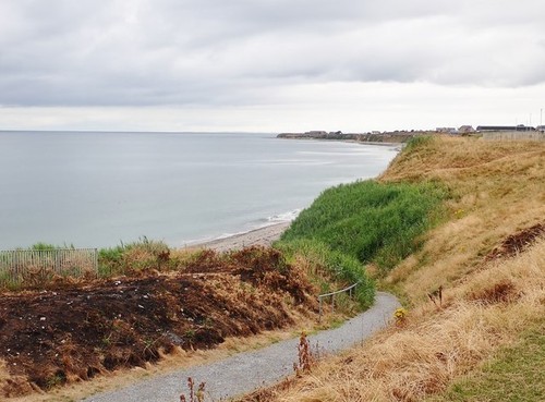Photo 6x4 path leading the - 6x4,