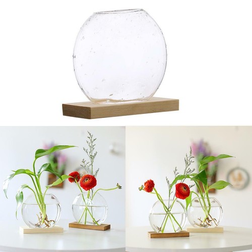 Hydroponic glass test tube - glass,