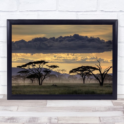 Good evening tanazania - tanazania, tree