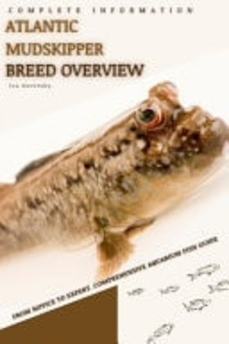 Atlantic mudskipper from - atlantic,