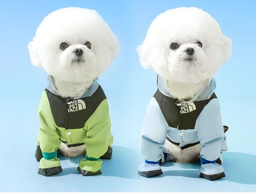 Dog raincoat waterproof rain - dog,