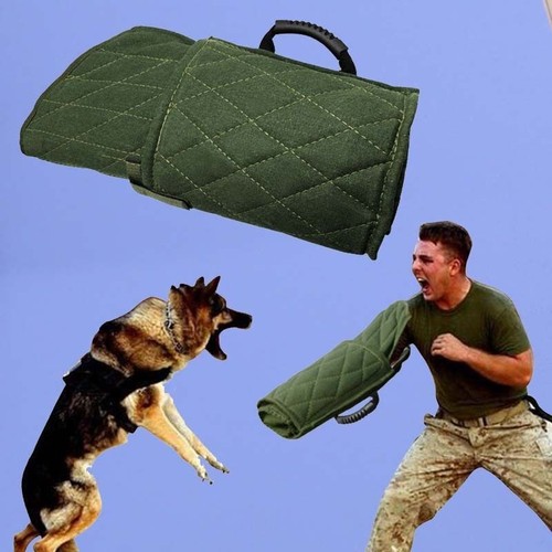 Intermediate jute dog - dog, bite