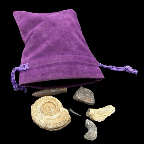 Mixed british fossils velvet - mixed,