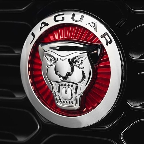 Car front grille emblem badge - grille,