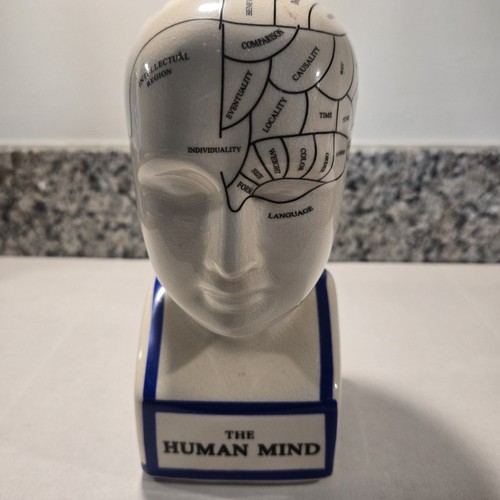 Medical phrenology head bust - head,