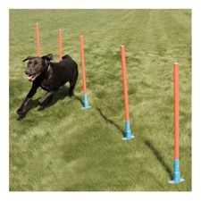 Rosewood Dog Agility Slalom - NQP