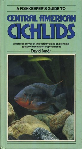 Central american cichlids - central,