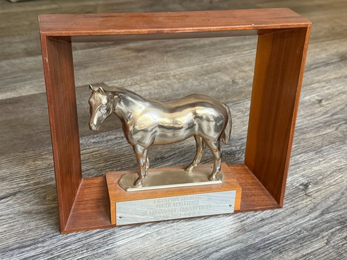Horse statue trophy - statue,