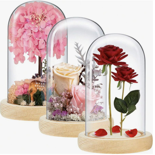 Glass display dome - display,