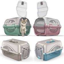 Pet carrier kitten cat - pet,