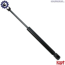 GAS SPRING BONNET 807 265 FOR