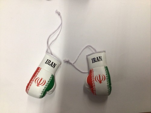 Iran boxing gloves - boxing,