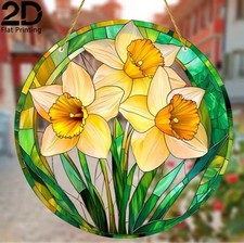 Lovely Daffodil Flowers