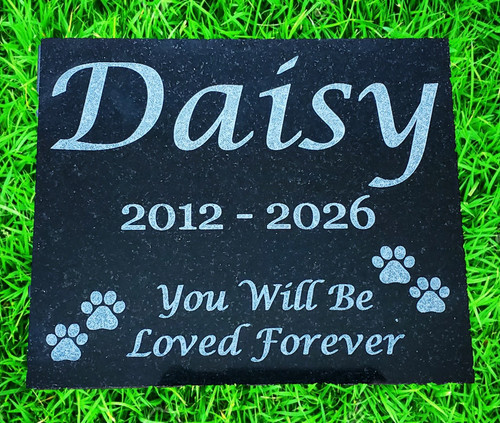 Pet loss memorial burial - pet,