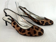 DOLCE & GABBANA Black leopard