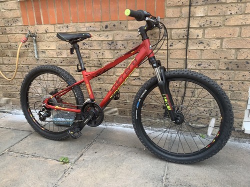 Carrera blast junior - junior, mountain