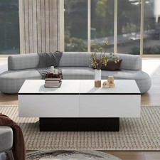 Dunaville Frame Coffee Table with Storage Black & White