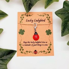 Lucky Ladybird Charm Gift -