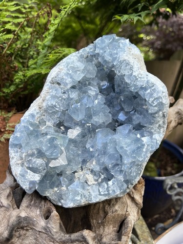 Celestite open cluster - open,