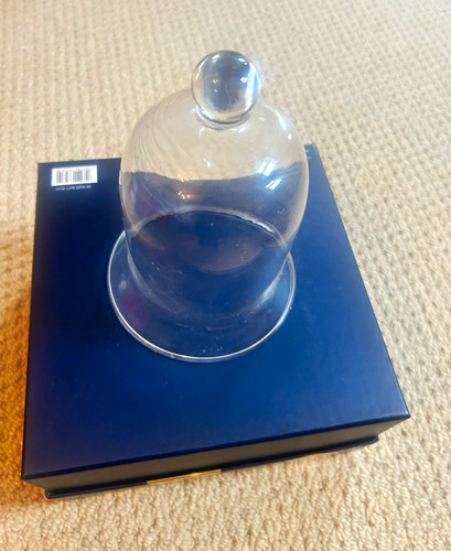 Clear glass cloche - clear,