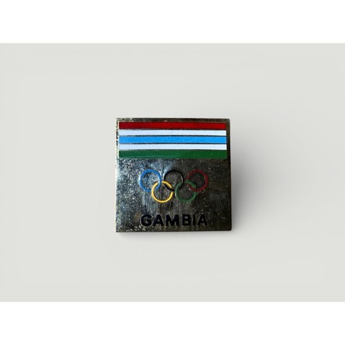 Vintage enamel pin badge - enamel,