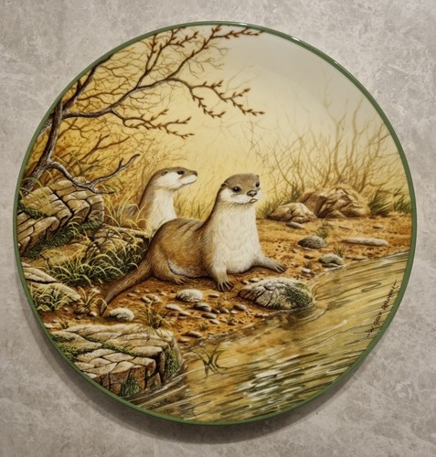 Otter pair river - a, bank