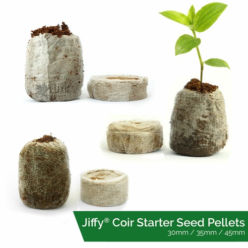 Jiffy coir propagation - propagation, pellets