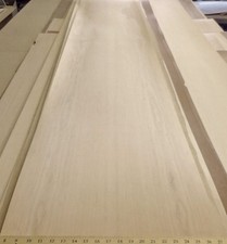 Maple wood veneer 96 - veneer, 19"