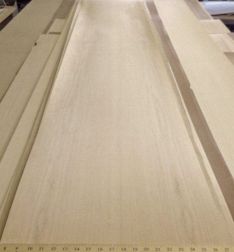 Maple wood veneer - 19", 96"