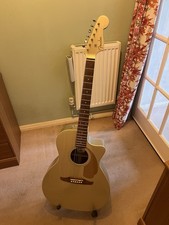 Fender Newporter Player