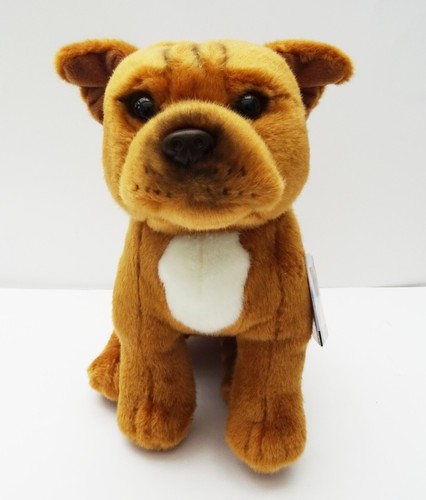 Red staffordshire bull terrier - bull,