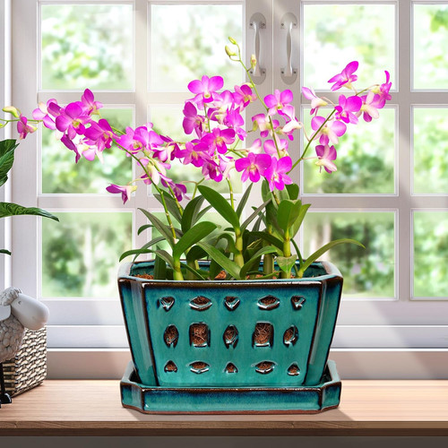 1set orchid pot - with, 7"