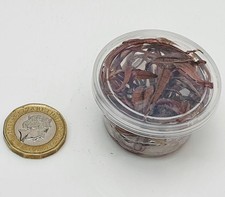 Live Aquarium Plants In Vitro
