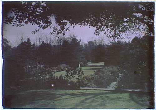 Locust valley new york - locust, myron