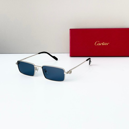 Cartier ct0501s silver frame - ct0501s,