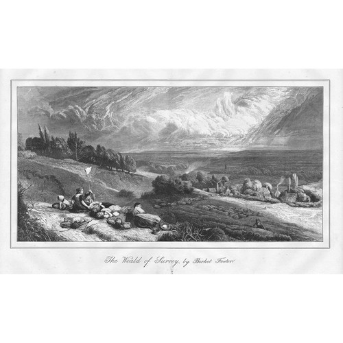 The weald surrey birket - weald,