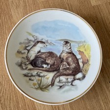 Reader’s Digest “Wildlife