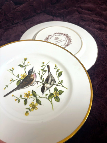 Coalport british birds bone - coalport,
