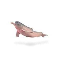 CollectA Amazon River Dolphin