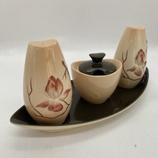 Carlton Ware Cruet Set