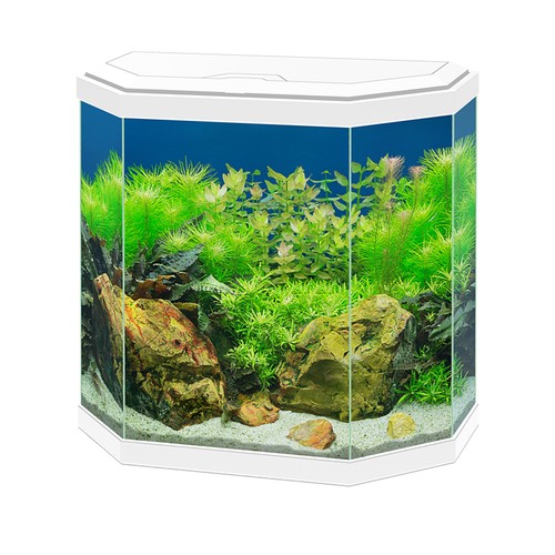 Ciano aqua aquarium with - 30,
