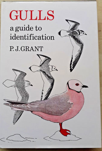 And poyser gulls a - t,