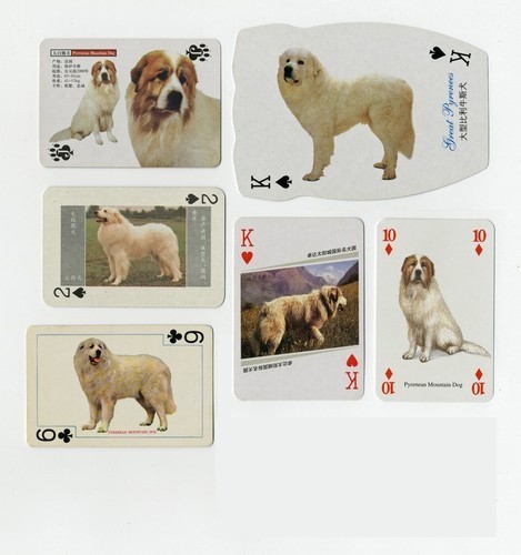 Pyrenean mountain dog vintage - dog,