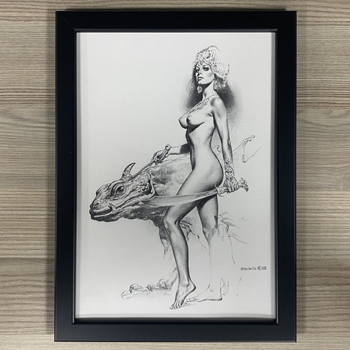 Boris vallejo framed art - vallejo,